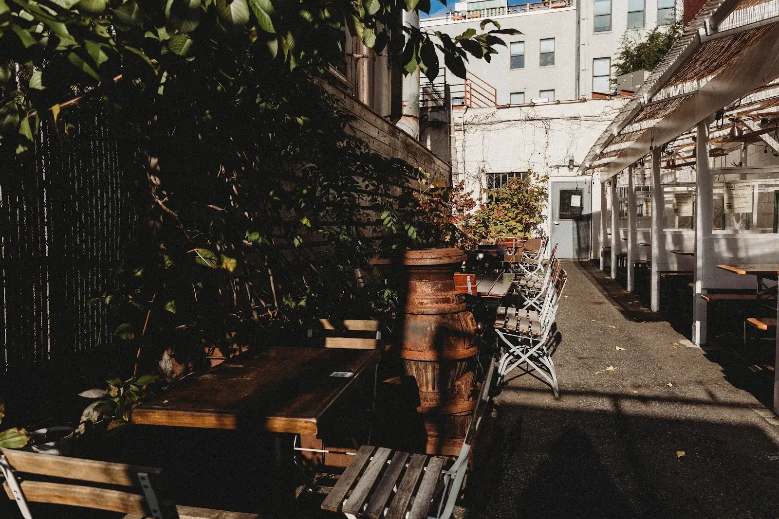 Black Forest (Carroll Gardens)